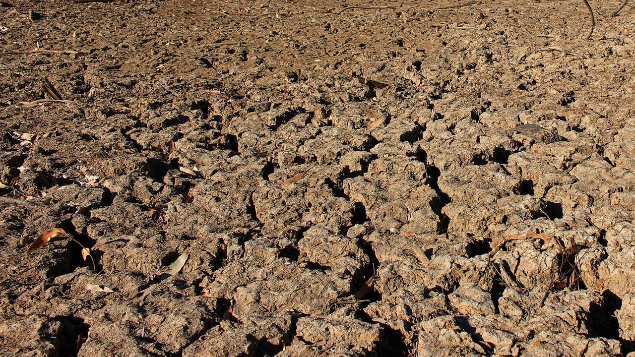 A view of cracked earth due to drought at a small water reservoir in Armidale in rural Australia