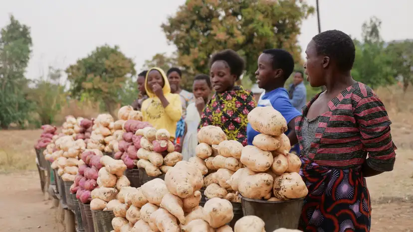 Malawians await general elections amid economic hardship, in Lilongwe