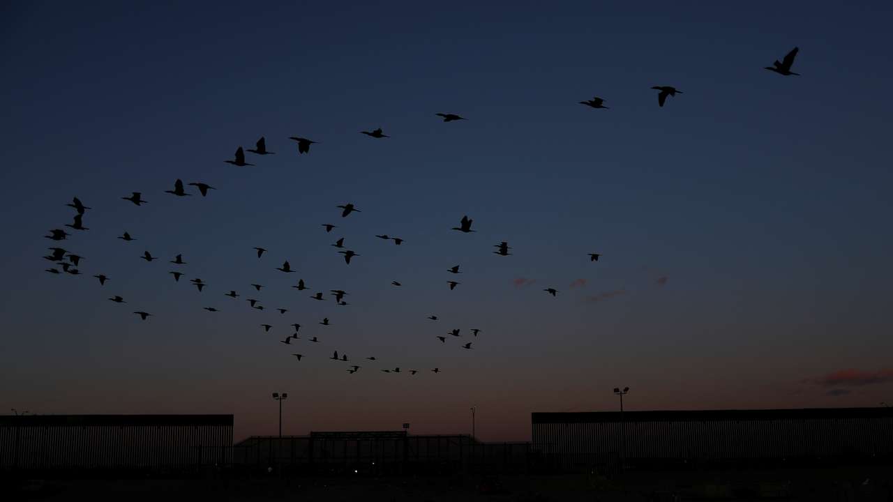 Birds fly near the border wall, on the border between Mexico and the US during a day of low temperatures, as seen from Ciudad Juarez