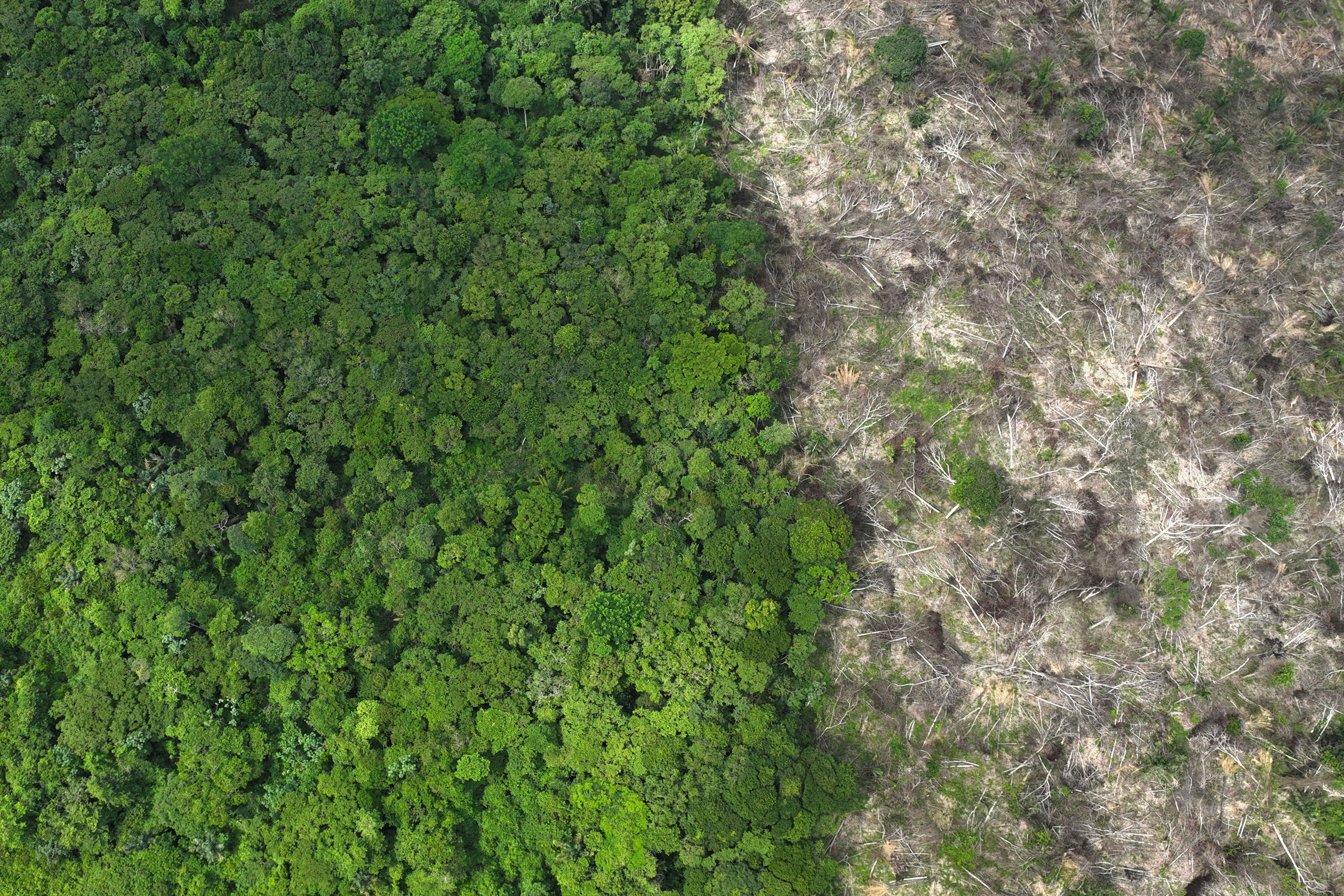FILE PHOTO: Drone footage shows deforestation in Brazilian Amazon