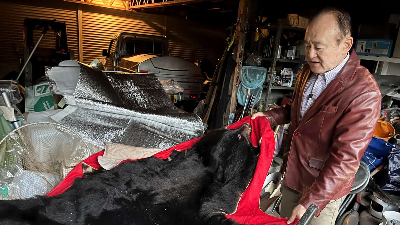 Keiji Minatoya who was attacked by a black bear in front of the garage in his backyard two years before, shows the pelt of a bear in Kitaakita