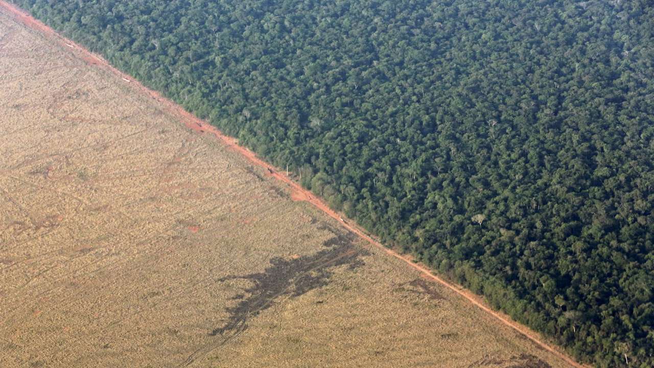 FILE PHOTO: An aerial view shows an area of land cleared for the preparation of pasture which borders with the Amazon rainforest in Mato Grosso state