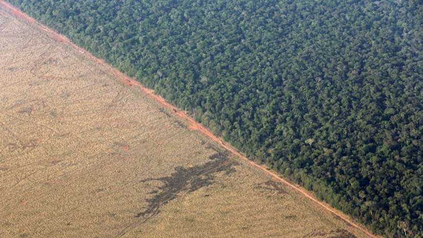 FILE PHOTO: An aerial view shows an area of land cleared for the preparation of pasture which borders with the Amazon rainforest in Mato Grosso state