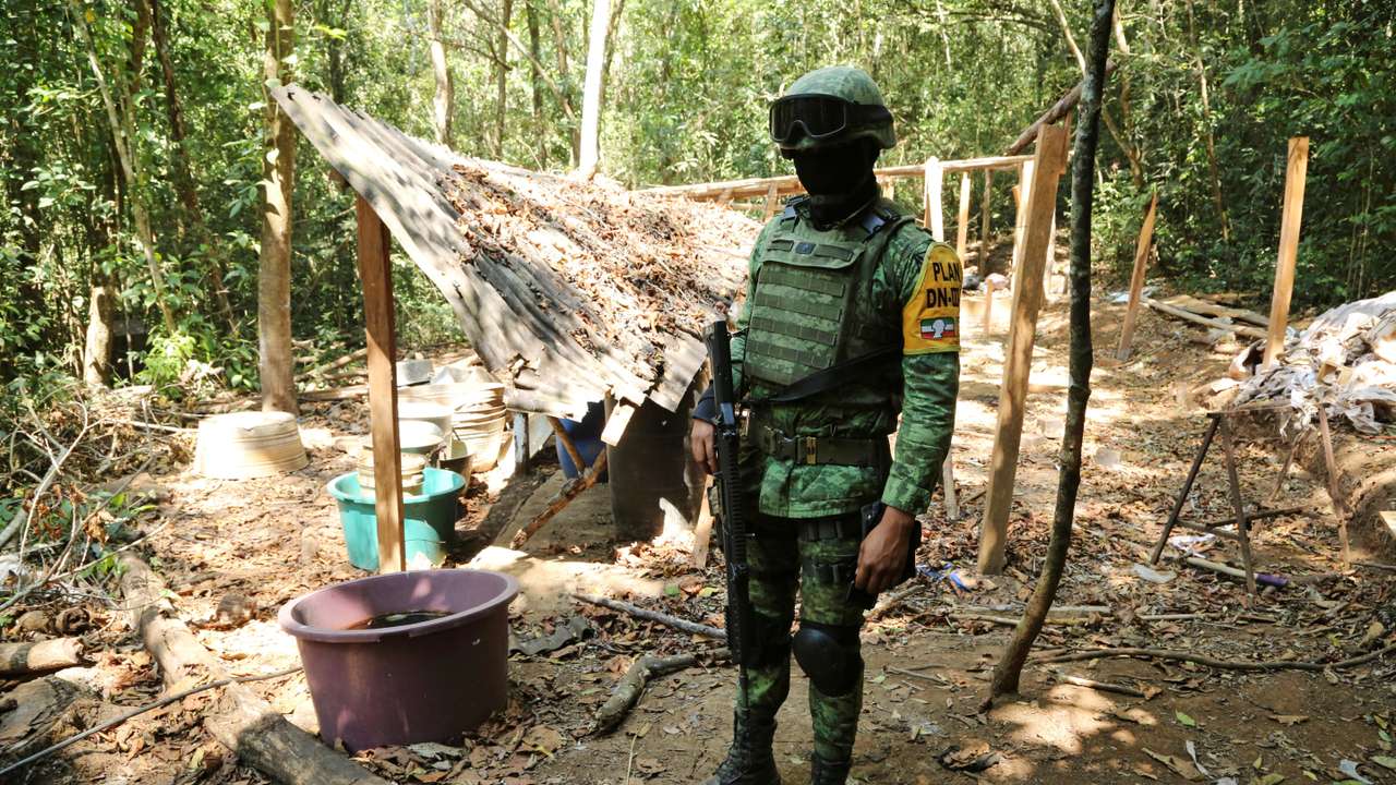 FILE PHOTO: A soldier keeps watch at an area where military authorities eradicated a coca leaf plantation and dismantled a lab to process the drug, in El Porvenir