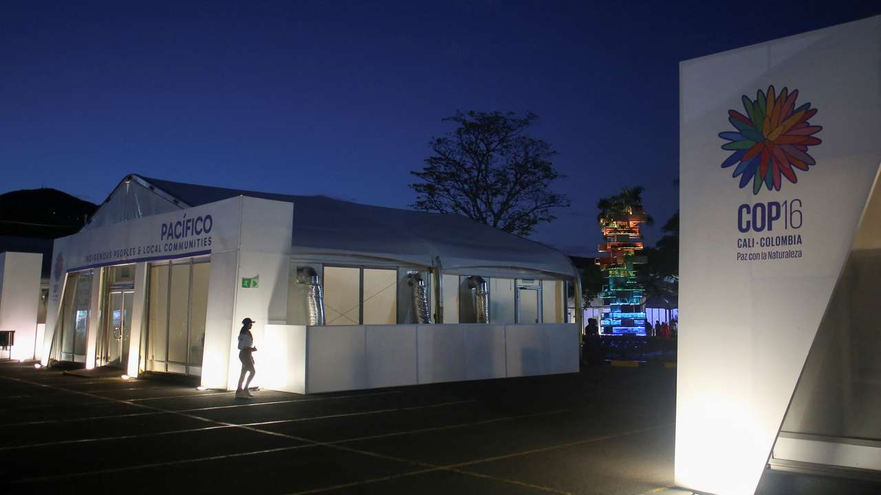 16th United Nations Biodiversity Summit, in Cali