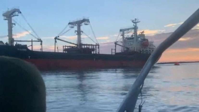 View shows a Panama-flagged bulk carrier in Odesa region