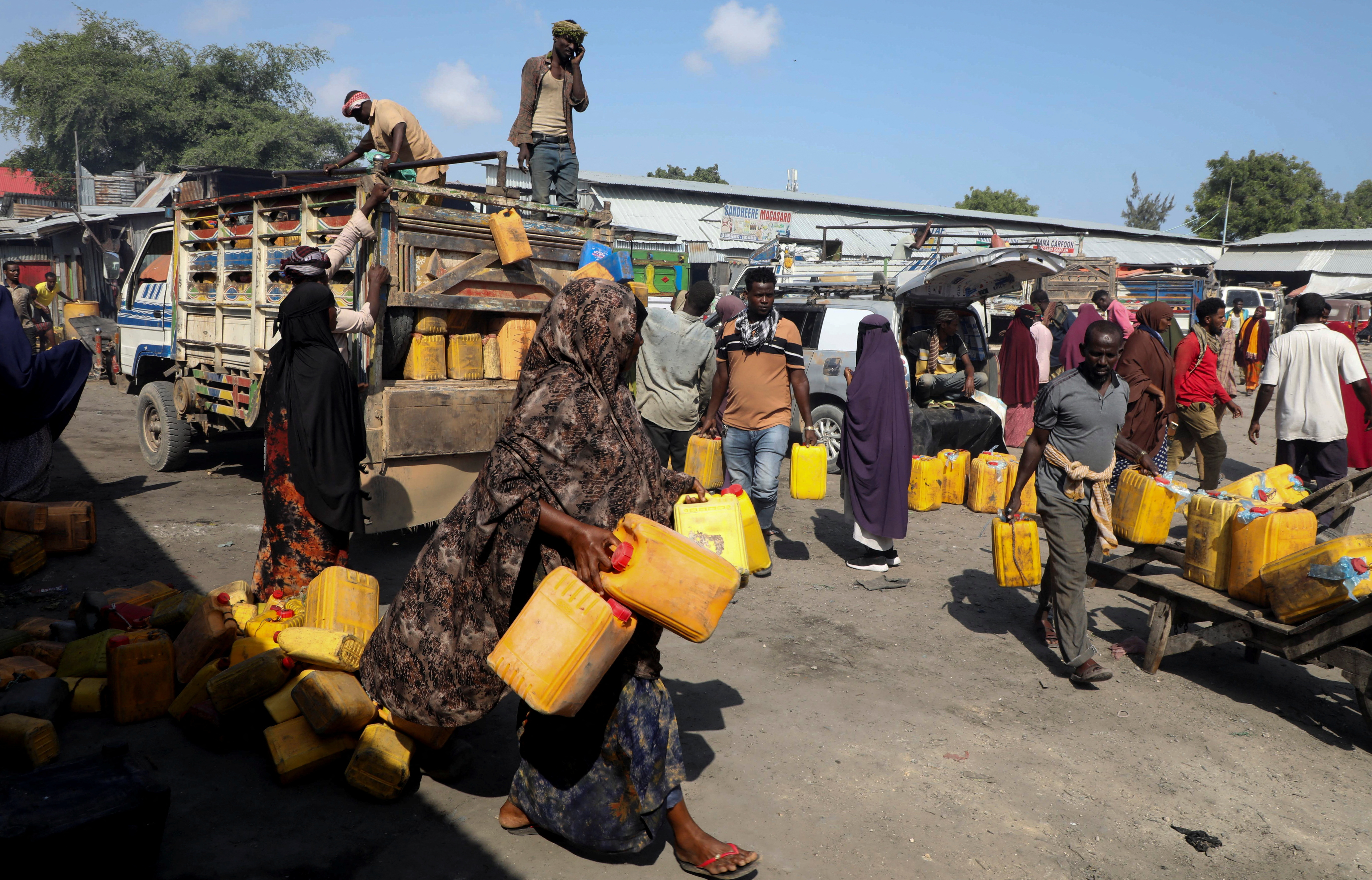 Climate crisis drives Somali camel herders to adopt zero-grazing in Mogadishu