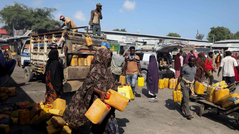 Climate crisis drives Somali camel herders to adopt zero-grazing in Mogadishu
