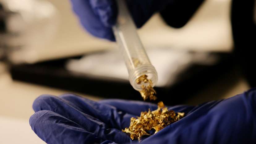 Gold samples are display at Brazil's Federal Police 'Ouroteca' in Brasilia