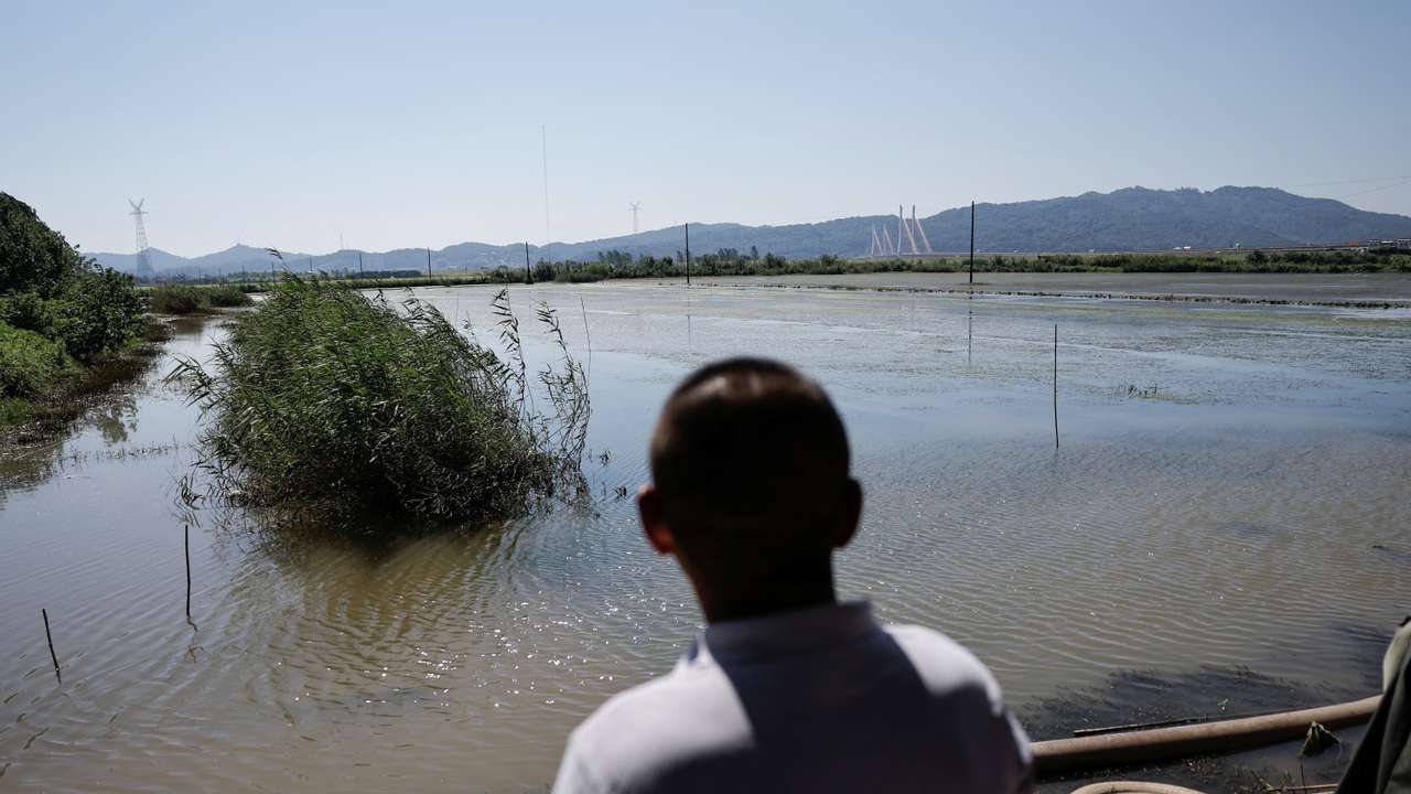 Farmer looks at flooded farmland in Jiujiang
