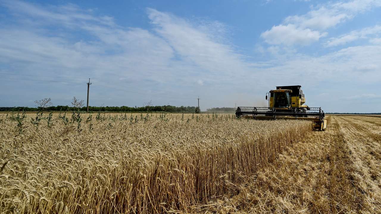 FILE PHOTO: Wheat harvesting in Zaporizhzhia region