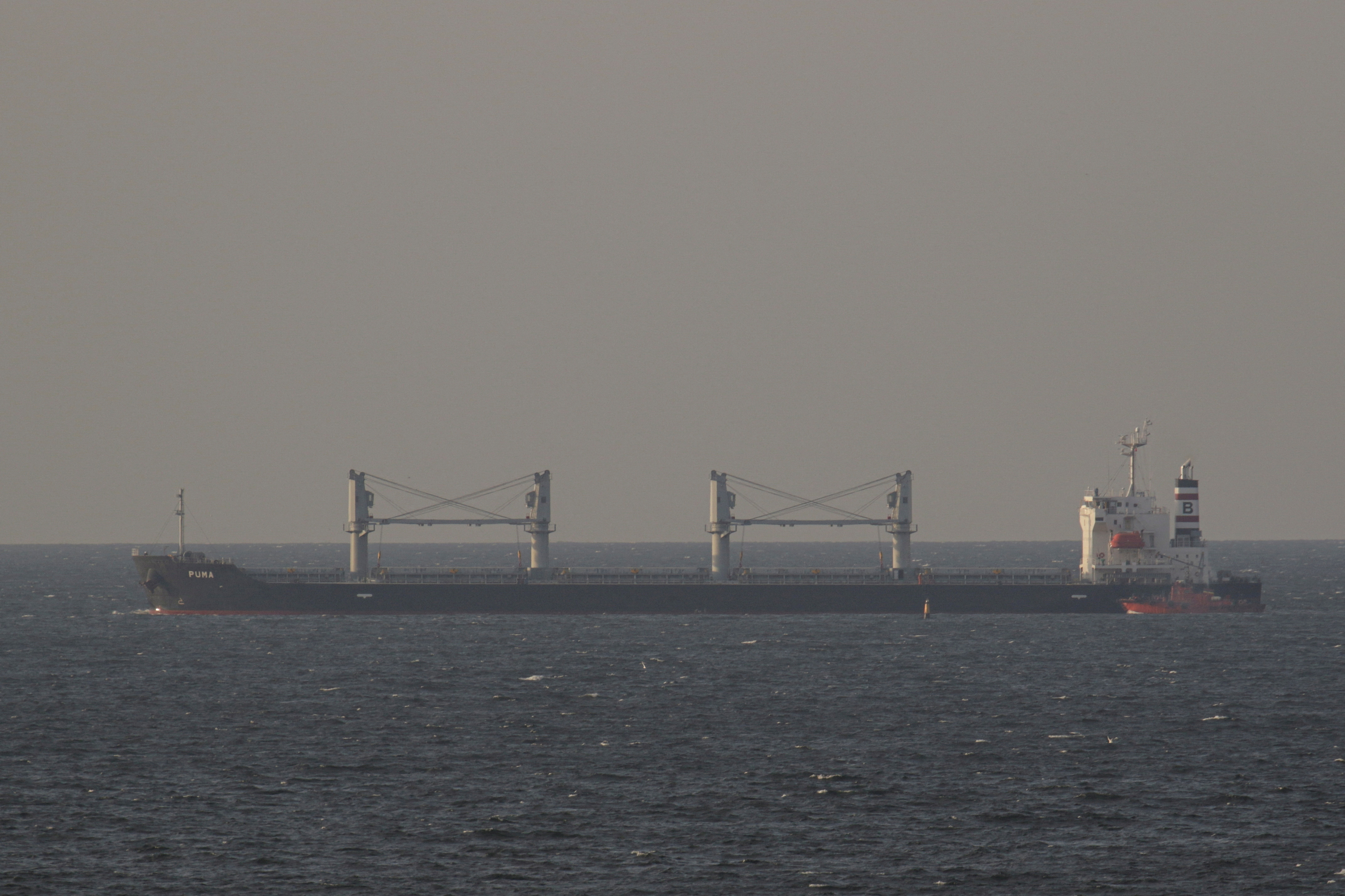 FILE PHOTO: Bulk carrier Puma leaves the sea port of Odesa