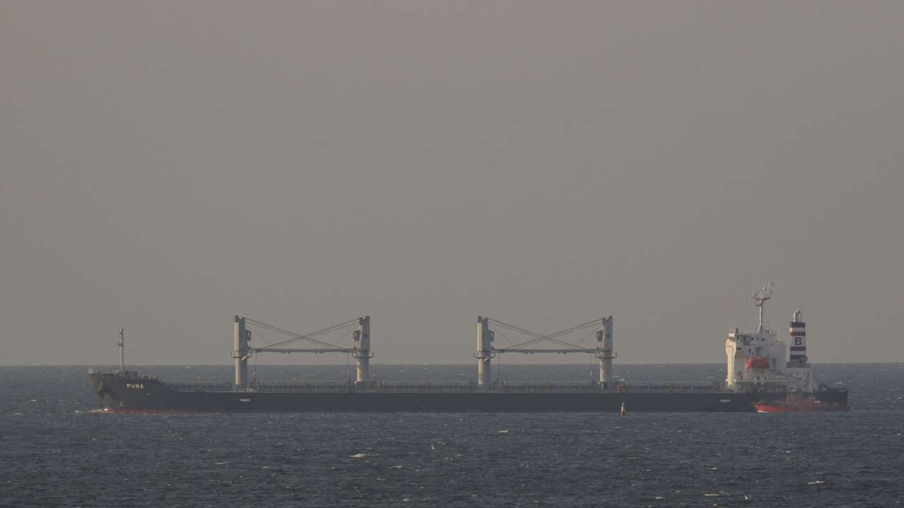 FILE PHOTO: Bulk carrier Puma leaves the sea port of Odesa