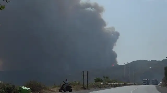 Algeria’s Fires Leave Families With Nothing