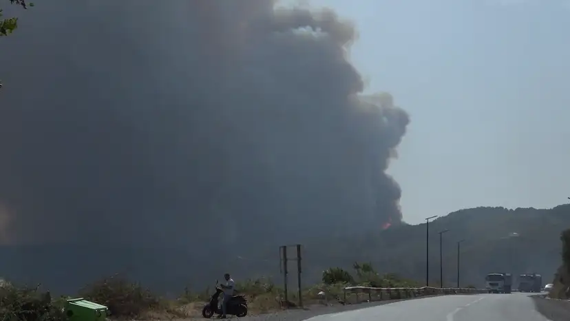 Algeria’s Fires Leave Families With Nothing