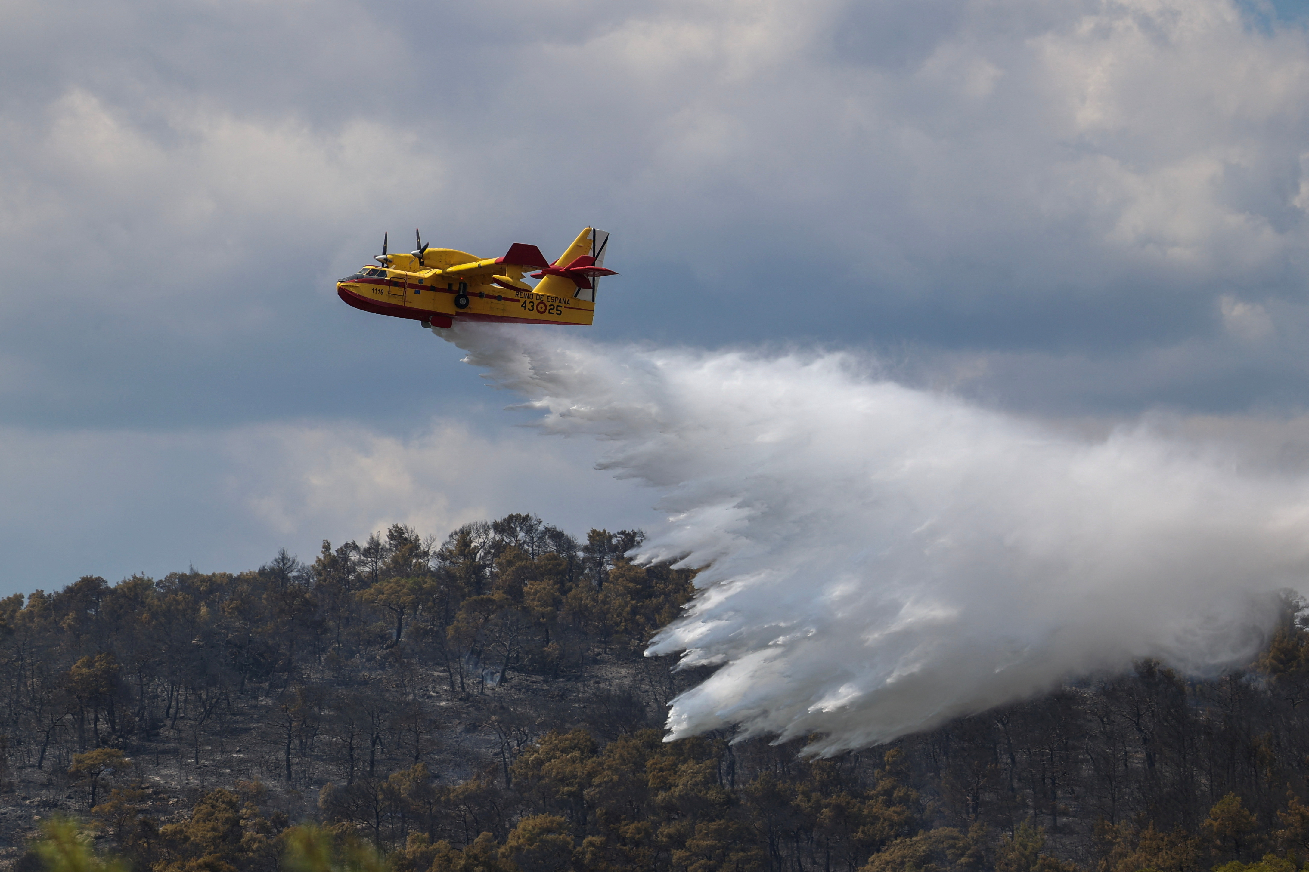FILE PHOTO: Wildfire in the region of Evros
