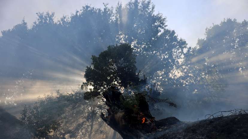 FILE PHOTO: Villagers struggle with aftermath of intense Iberian wildfires