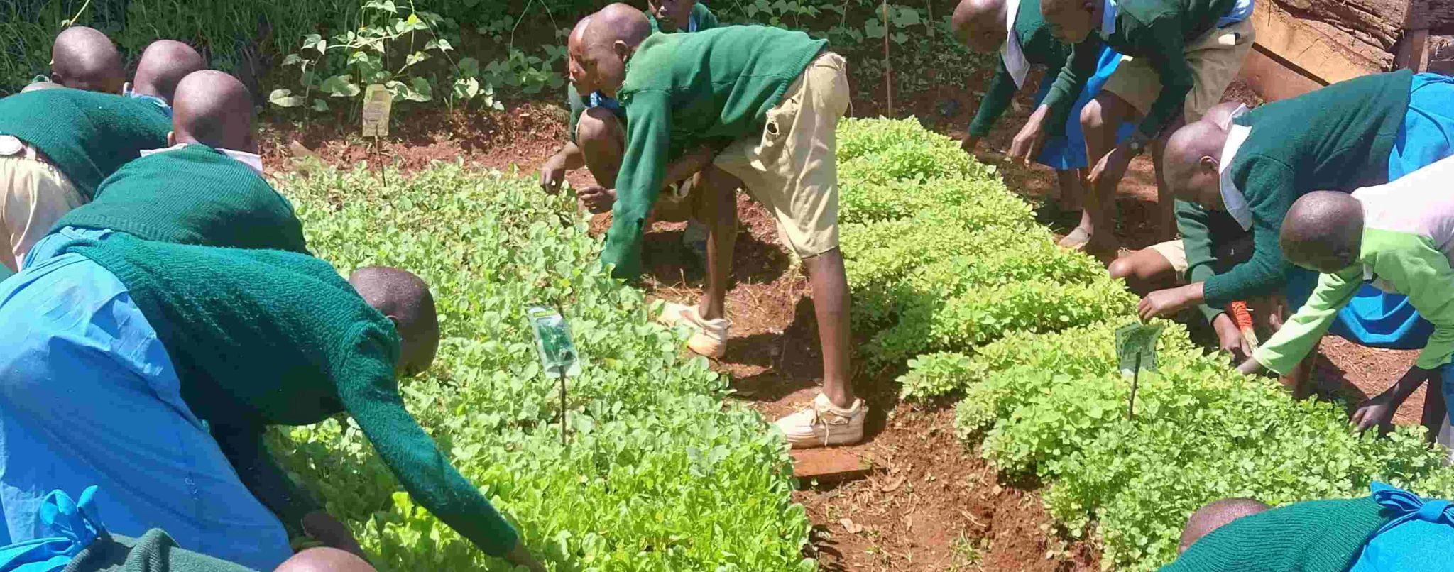 FWBK- self sustaiable agriculture