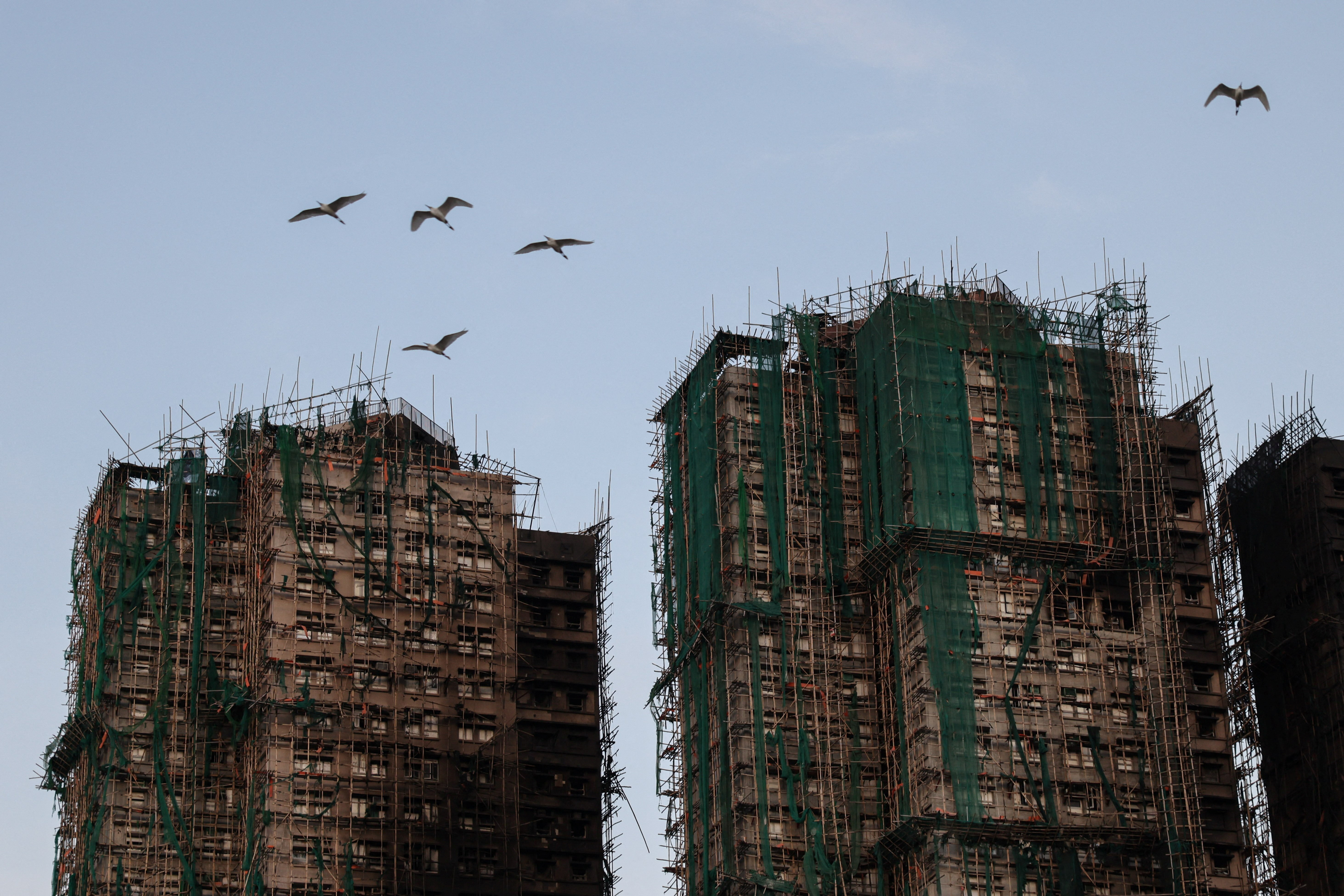 Birds fly past fire-damaged residential blocks at Wang Fuk Court housing estate after a major blaze that killed numerous people, in Tai Po, Hong Kong