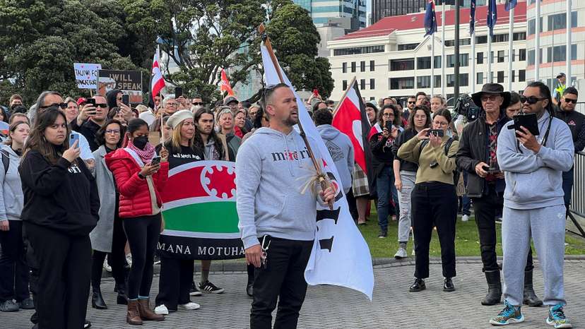 Protest against the incoming government and its policies, in Wellington