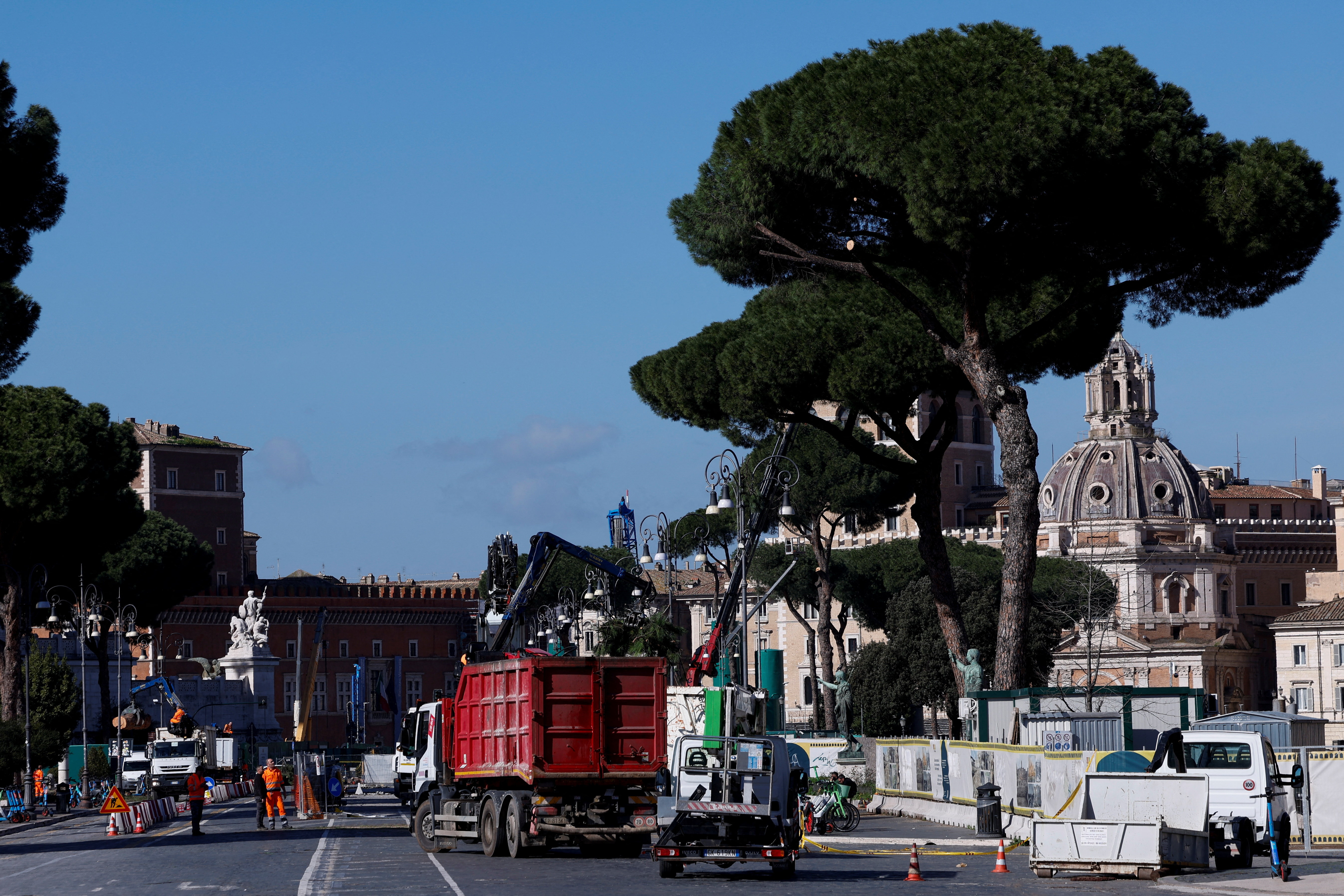 Rome cuts down ageing pines along historic avenue