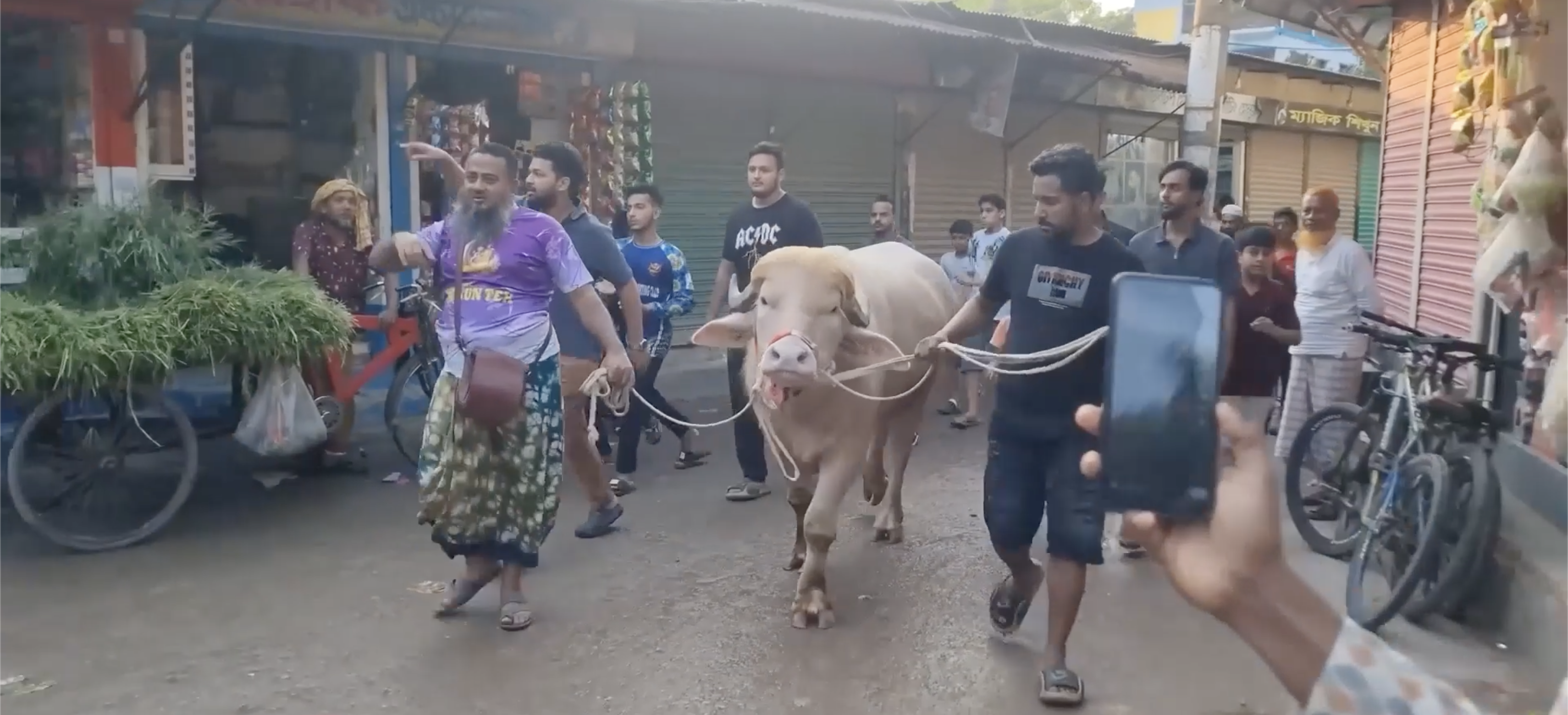Trump buffalo