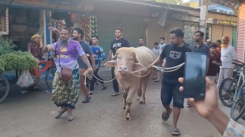 Trump buffalo