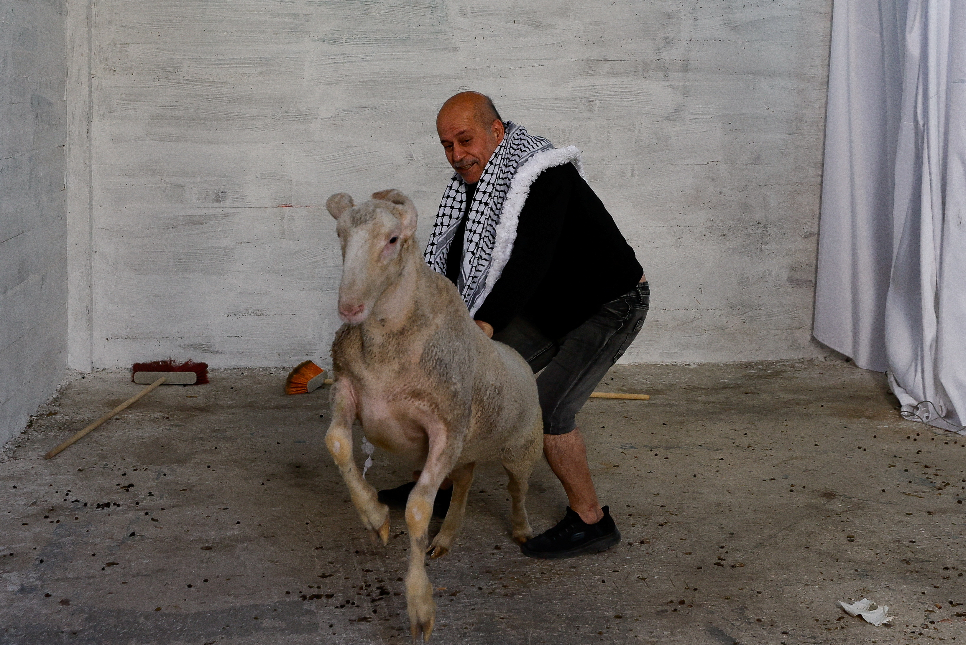 Released Palestinian prisoner Wael Natsheh marks his first Eid al-Adha since his release by sacrificing a sheep in Hebron, in the Israeli-occupied West Bank