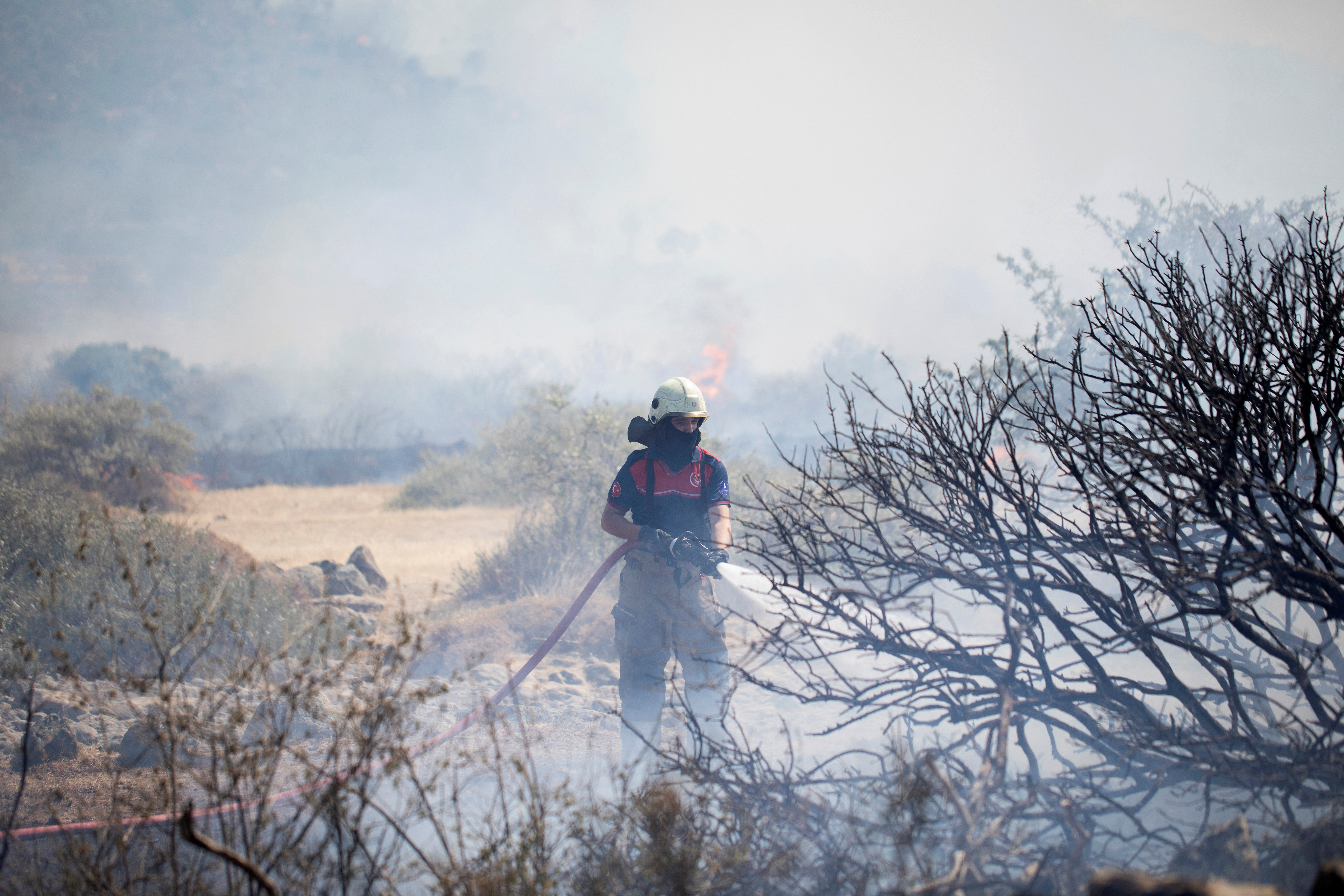 A wildfire burns in Izmir Province