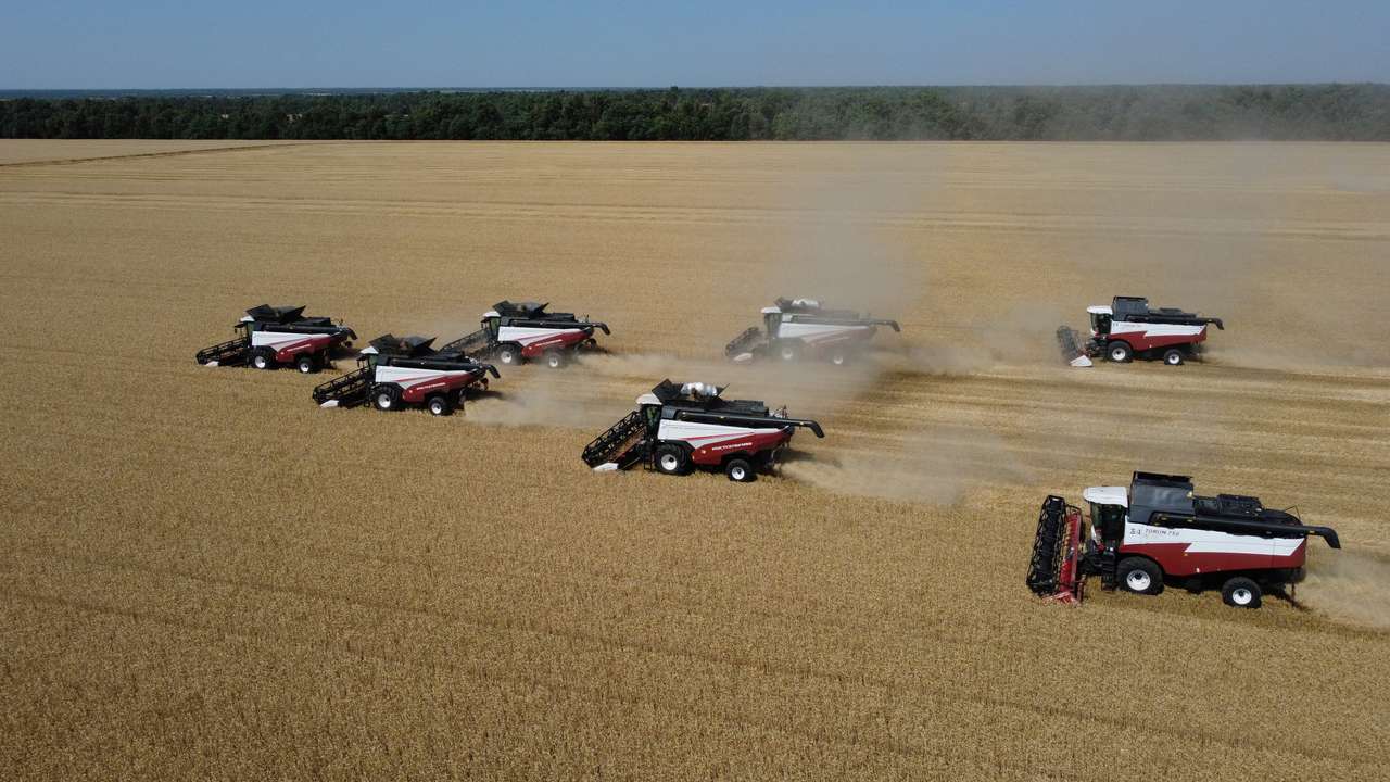 Wheat harvest in Russia's Rostov Region