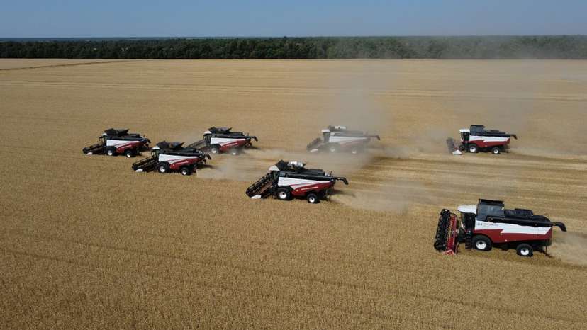Wheat harvest in Russia's Rostov Region